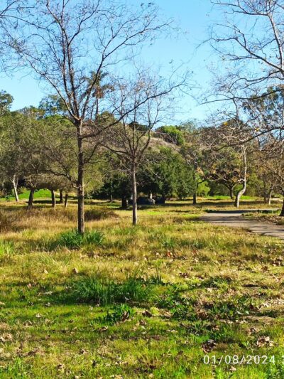 Canyon Park - Costa Mesa, CA