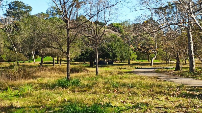 Canyon Park - Costa Mesa, CA