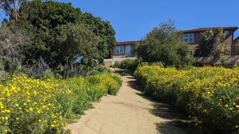 Canyon Park - Costa Mesa, CA