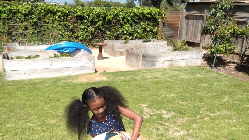 Harper Park - Costa Mesa, CA