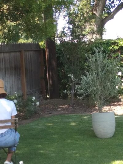 Harper Park - Costa Mesa, CA