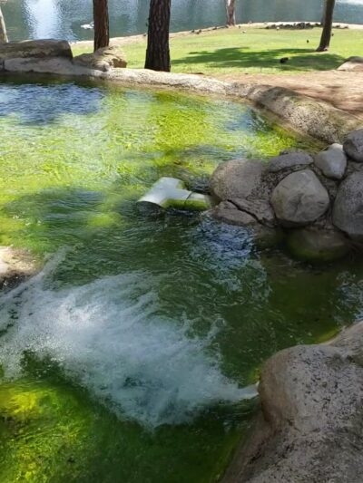 TeWinkle Park - Costa Mesa, CA