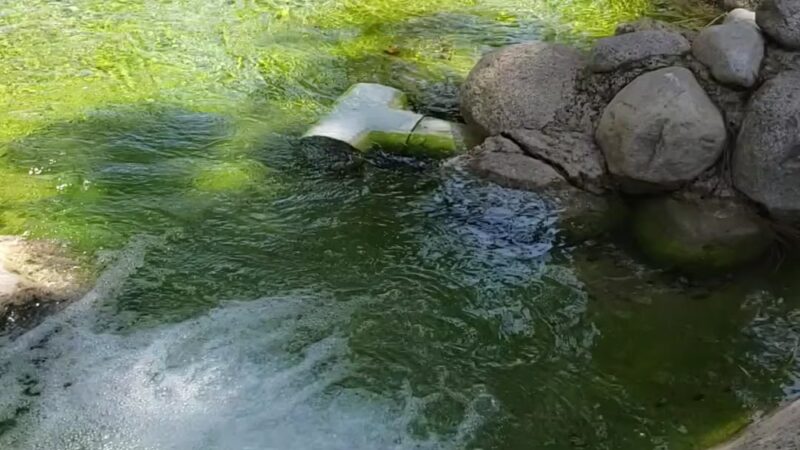 TeWinkle Park - Costa Mesa, CA