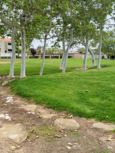 Wilson Park - Costa Mesa, CA