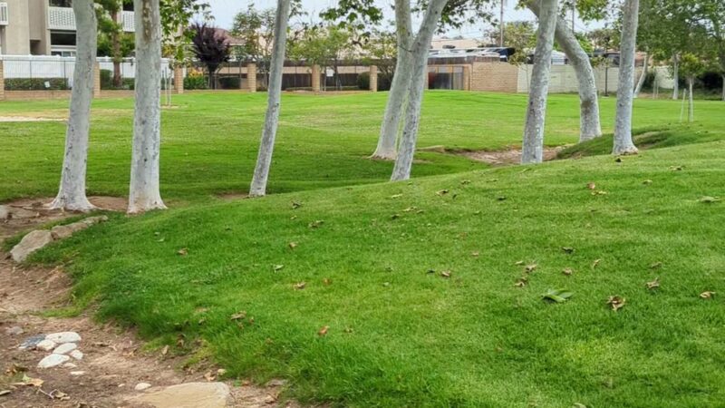 Wilson Park - Costa Mesa, CA