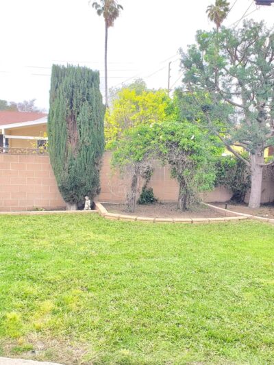 Wilson Park - Costa Mesa, CA