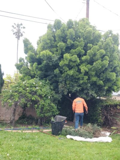 Wilson Park - Costa Mesa, CA