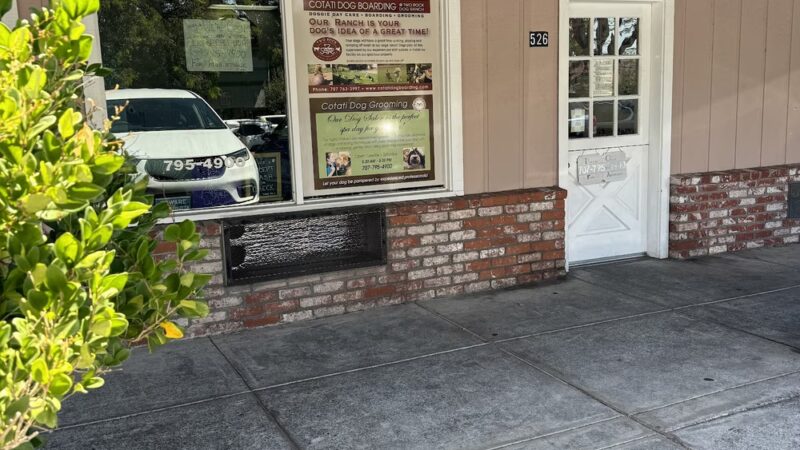 Cotati Dog Grooming - Cotati, CA