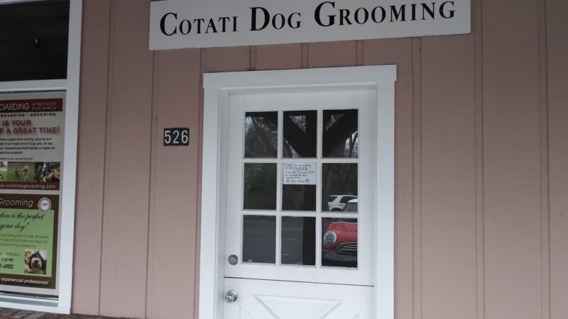Cotati Dog Grooming - Cotati, CA