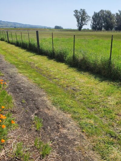 Laguna de Santa Rosa Trail - Trail S - Cotati, CA