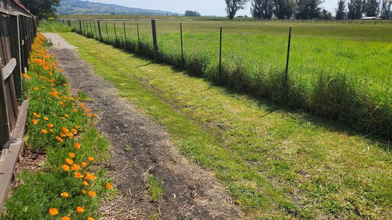 Laguna de Santa Rosa Trail - Trail S - Cotati, CA