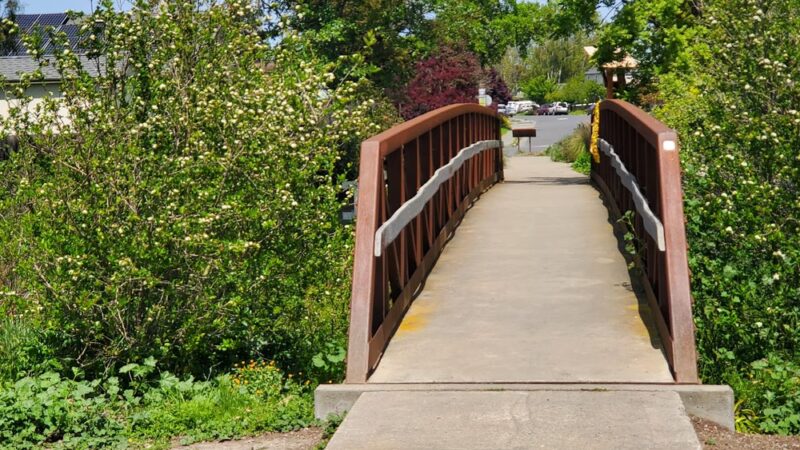 Laguna de Santa Rosa Trail - Trail S - Cotati, CA