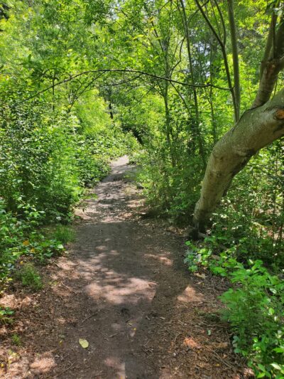 Laguna de Santa Rosa Trail - Trail S - Cotati, CA