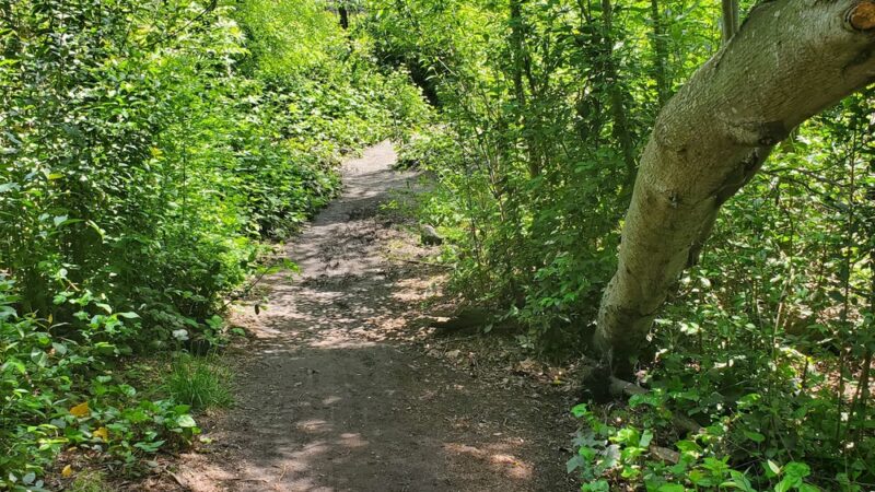 Laguna de Santa Rosa Trail - Trail S - Cotati, CA