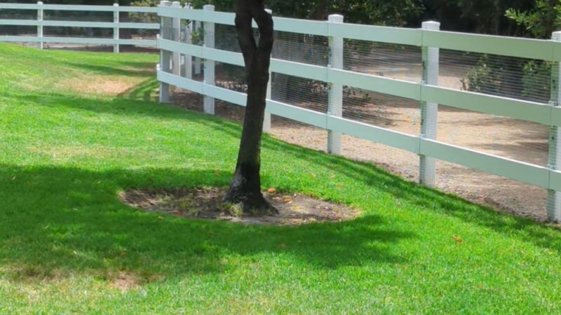 Coto De Caza Dog Park(private access) - Coto De Caza, CA