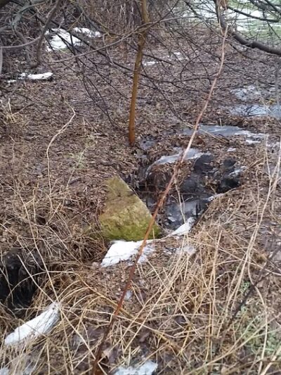 Community Park - Cottage Grove, WI