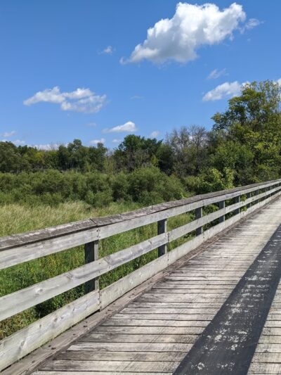 Glacial Drumlin Trail - Cottage Grove, WI