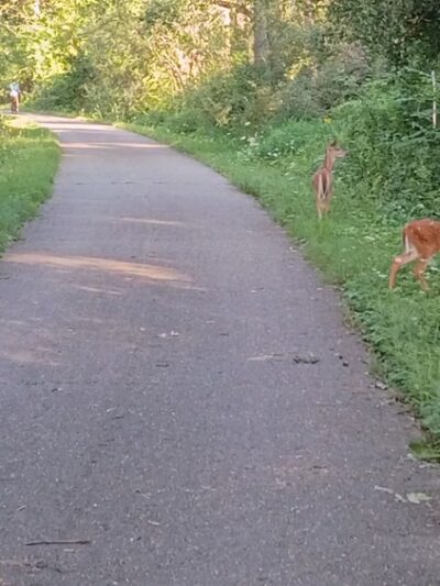 Glacial Drumlin Trail - Cottage Grove, WI