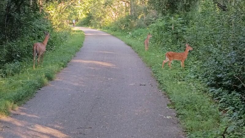 Glacial Drumlin Trail - Cottage Grove, WI