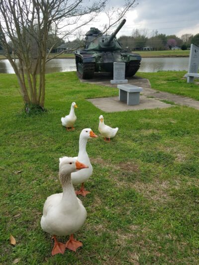 Cottonport Veteran’s Memorial - Cottonport, LA