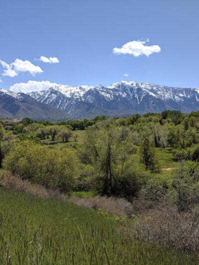 Crestwood Park - Cottonwood Heights, UT