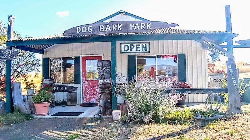 Dog Bark Park - Cottonwood, ID
