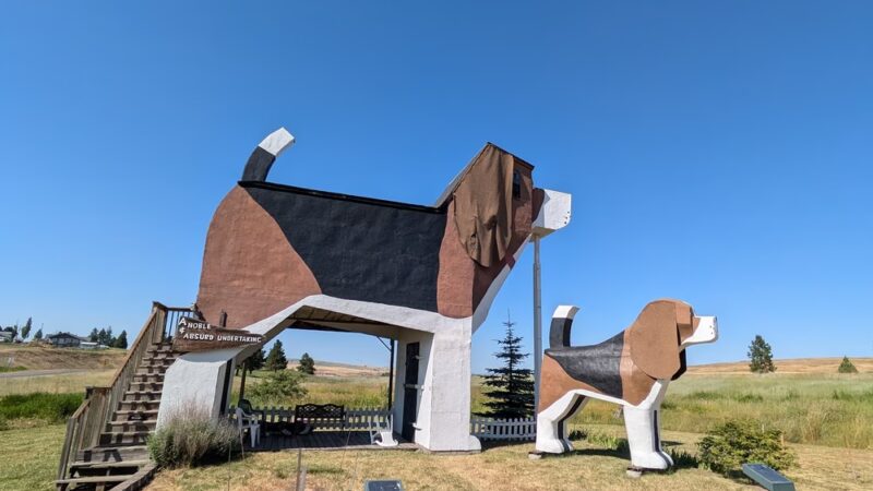 Dog Bark Park - Cottonwood, ID