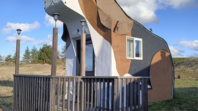 Dog Bark Park - Cottonwood, ID