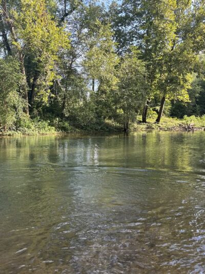 Narrows - Couch, MO