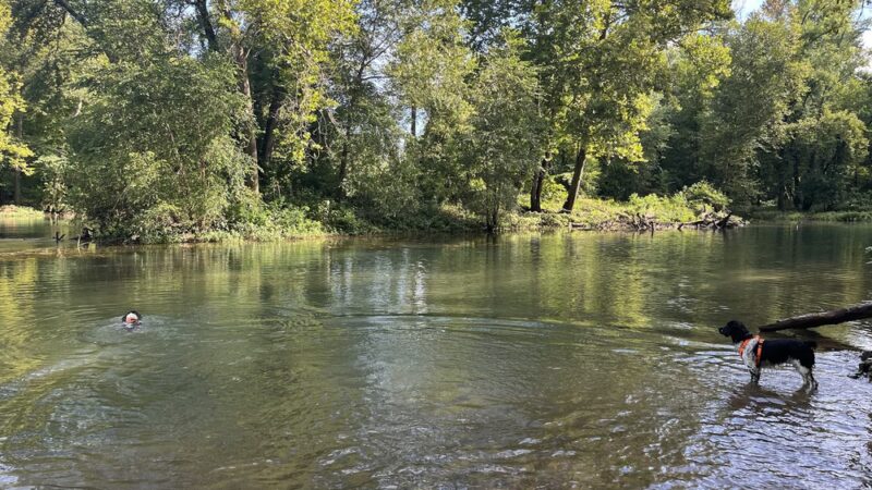 Narrows - Couch, MO