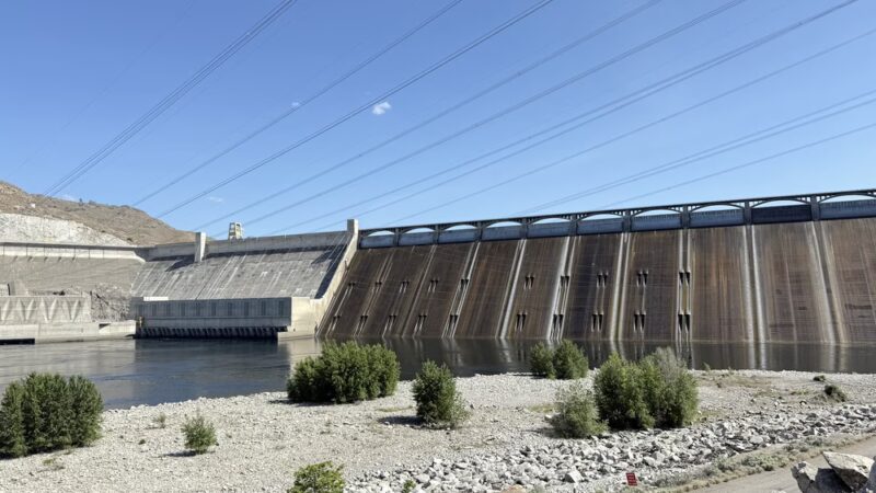 Grand Coulee Dam Picnic Area - Coulee Dam, WA