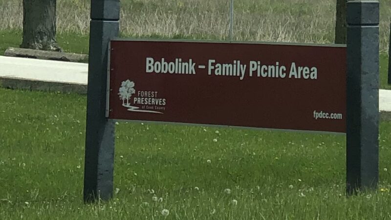 Bobolink Family Picnic Area - Country Club Hills, IL