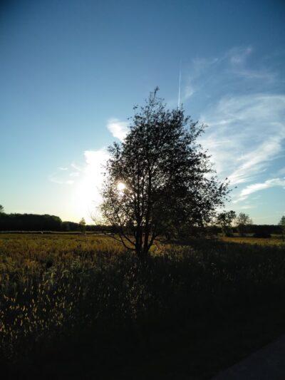 Flossmoor Road Bicycle Lot - Country Club Hills, IL