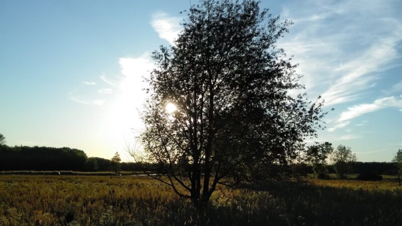 Flossmoor Road Bicycle Lot - Country Club Hills, IL