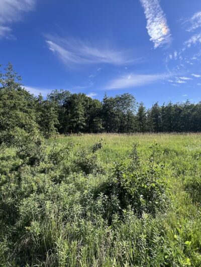 Flossmoor Road Bicycle Lot - Country Club Hills, IL