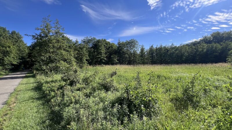 Flossmoor Road Bicycle Lot - Country Club Hills, IL