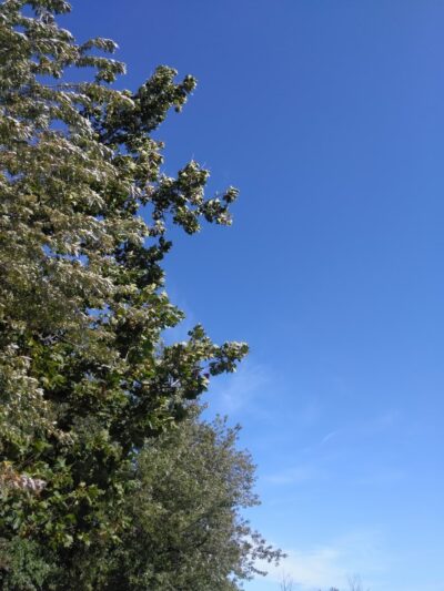 Flossmoor Road Bicycle Lot - Country Club Hills, IL