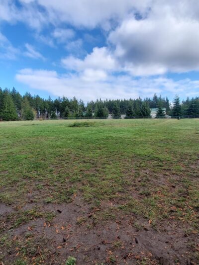 Patmore Park - Coupeville, WA