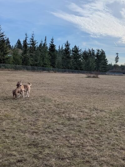 Patmore Park - Coupeville, WA