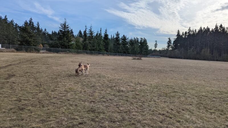 Patmore Park - Coupeville, WA
