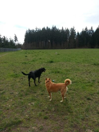 Patmore Park - Coupeville, WA