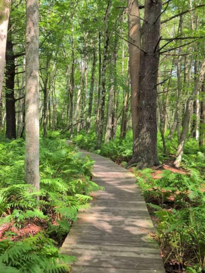Sandy Acres Recreation Area - Coventry, RI