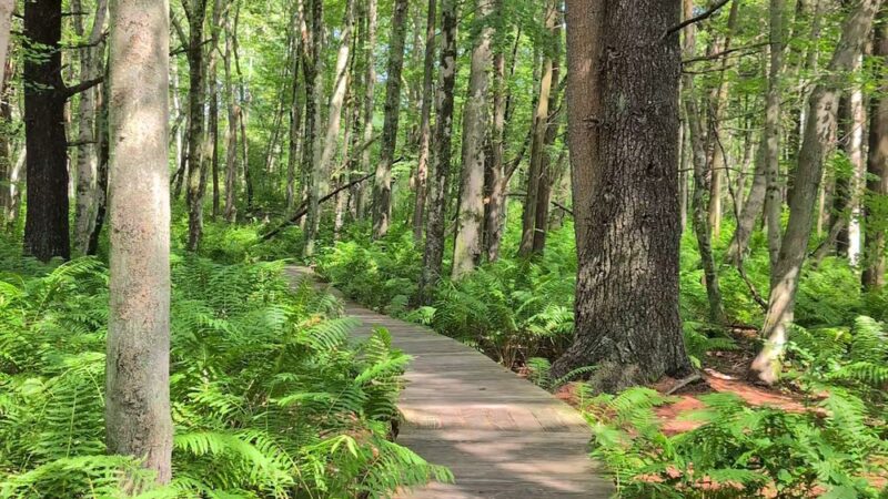 Sandy Acres Recreation Area - Coventry, RI