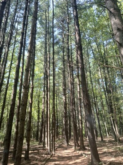 Sandy Acres Recreation Area - Coventry, RI