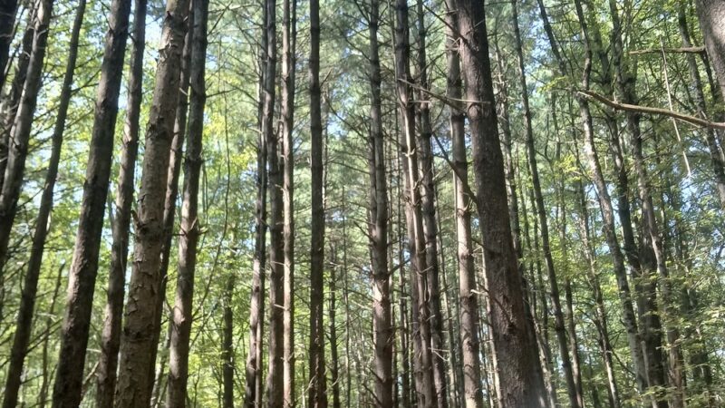 Sandy Acres Recreation Area - Coventry, RI