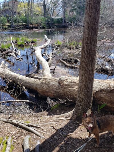 Sandy Acres Recreation Area - Coventry, RI