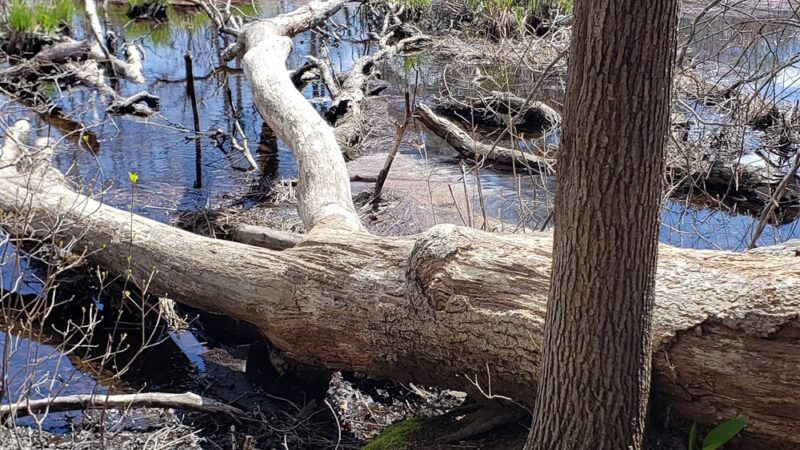 Sandy Acres Recreation Area - Coventry, RI
