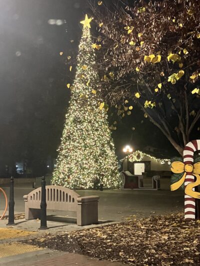 Civic Center Park - Covina, CA