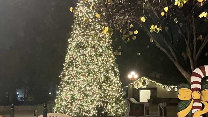 Civic Center Park - Covina, CA