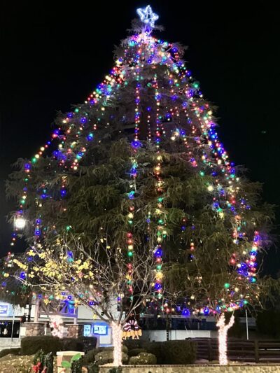 Civic Center Park - Covina, CA